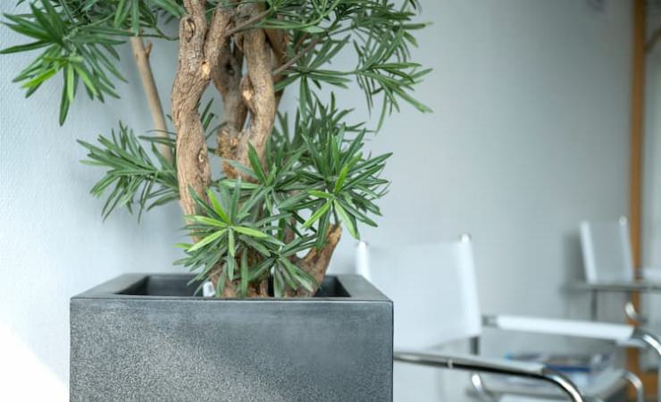 Gastropraxis MG: Praxisimpressionen